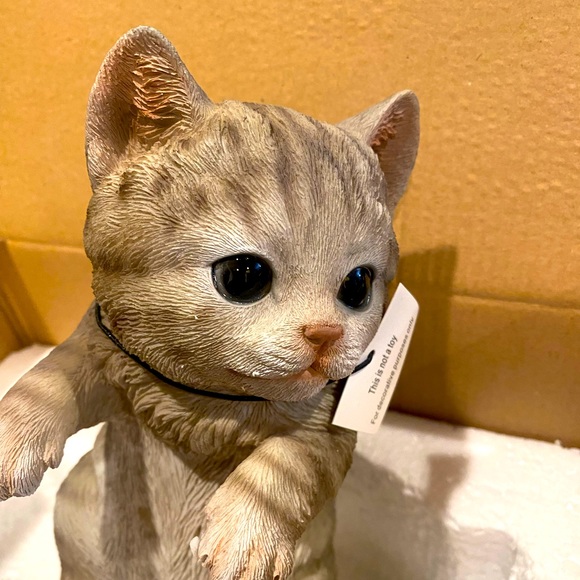 Grey Tabby Kitty Peeker - Picture 1 of 7